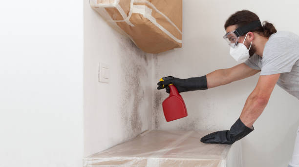 Professional Basement Mold Remediation technician working in Ho-Ho-Kus, NJ